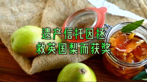 遗产信托因拯救英国梨而获奖