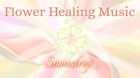 Snowdrop Flower Healing Music | Awaken Your "Hope" | Miracle Bloom Meditation