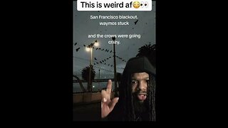 The power outage in San Francisco had the crows going wild ~ by Zae reactions 12.22.25