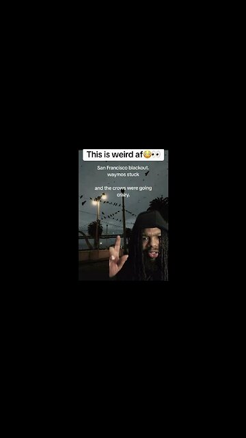 The power outage in San Francisco had the crows going wild ~ by Zae reactions 12.22.25