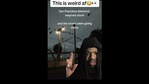 The power outage in San Francisco had the crows going wild ~ by Zae reactions 12.22.25