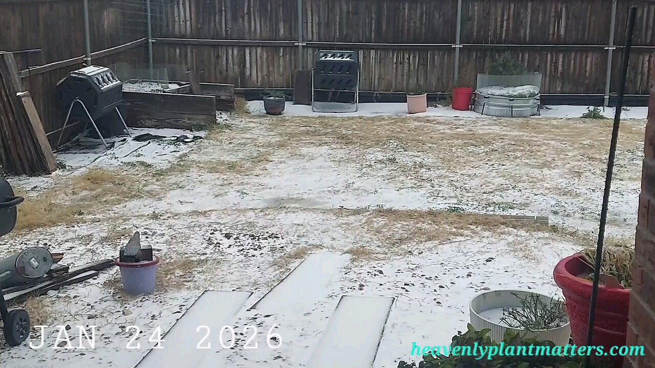 Saturday Morning, Wintry Mix!