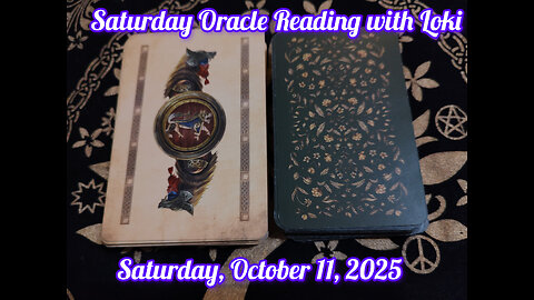 Saturday Oracle Reading with Loki: October 11, 2025