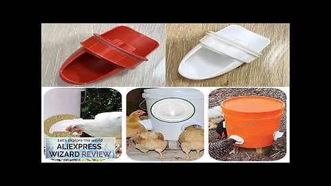 Chicken Feeder Poultry Feeding Supplies DIY Rain Proof Poultry Feeder Port Gravity Review