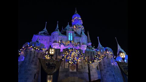 I Was "Offered" A Kid At Disneyland