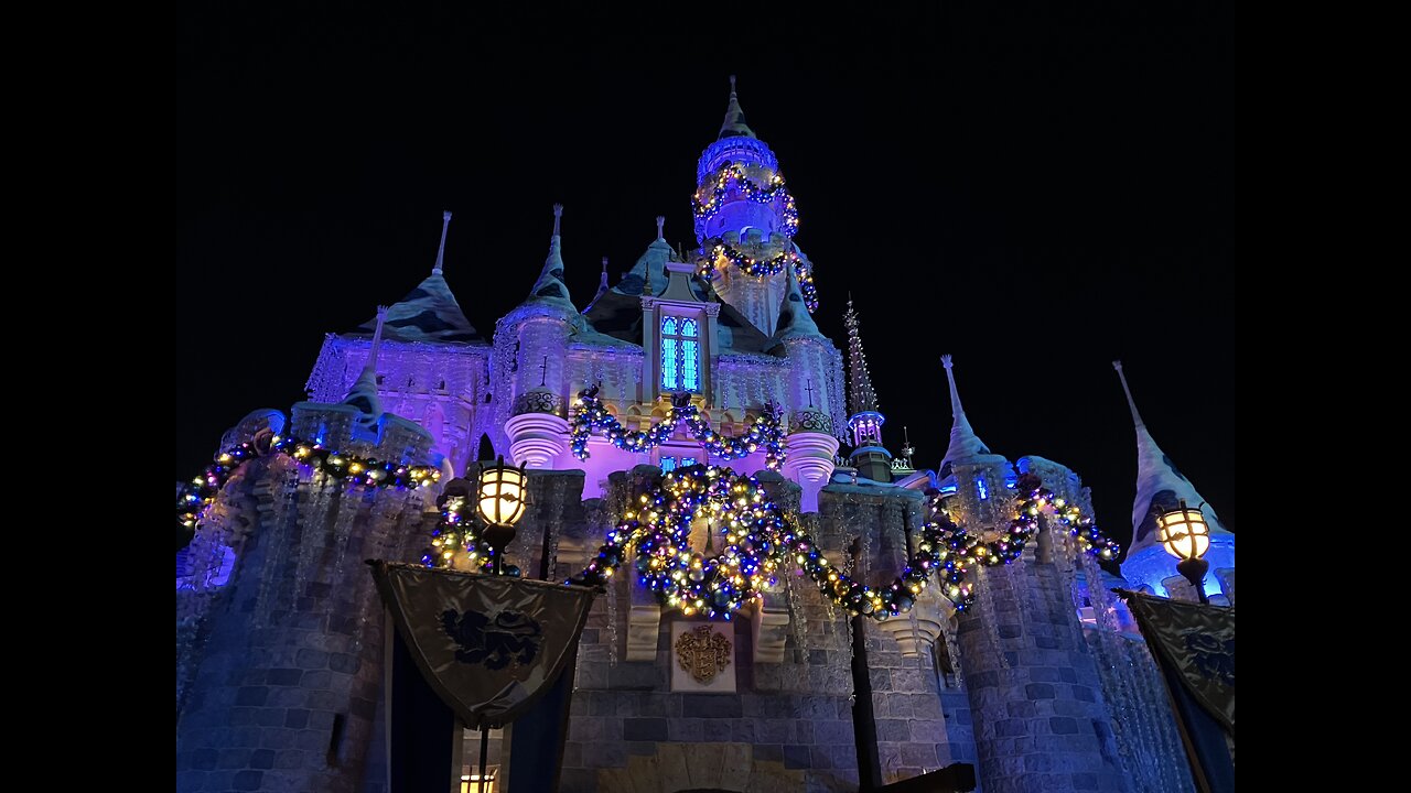 I Was "Offered" A Kid At Disneyland