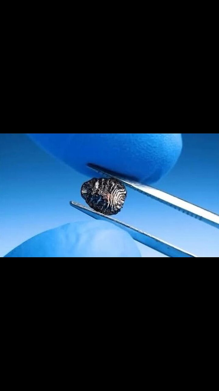 You’re eating BUGS without realizing it…