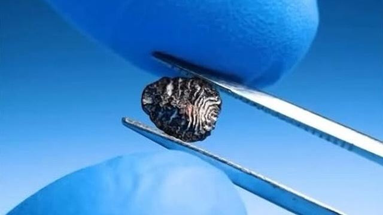 You’re eating BUGS without realizing it…