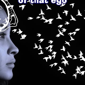 Voluntary Solitary - a funky punk-rock song