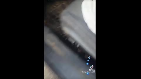 Woman chases down federal agent and he takes her wallet and keys and drives off