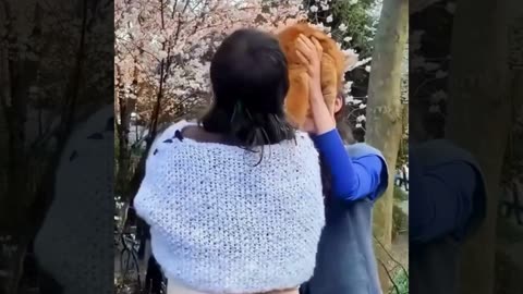 A selection of funny moments with animal #18