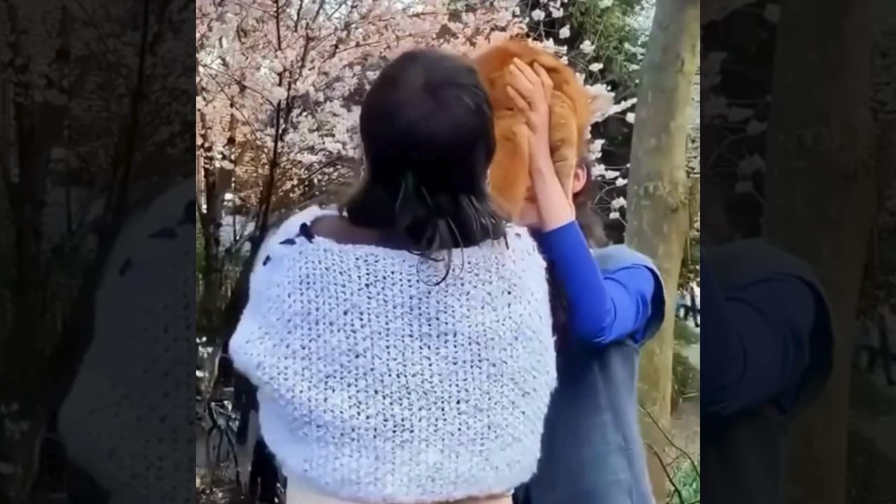 A selection of funny moments with animal #18