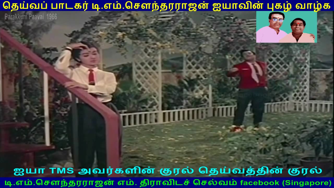 Parakkum Paavai 1966 song 1 TMS Legend