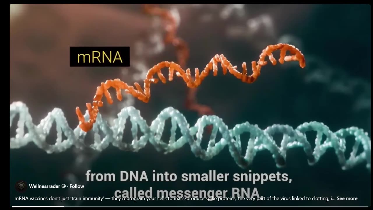 What is mRNA?