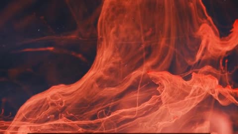 Daily Horoscope | Aquarius 🌟