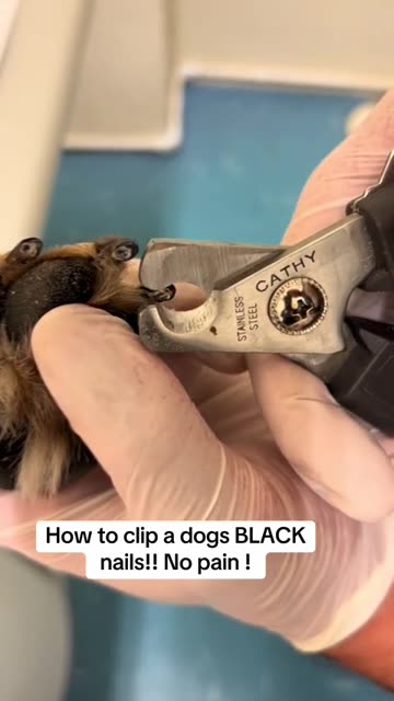 Dog claw trimming guide