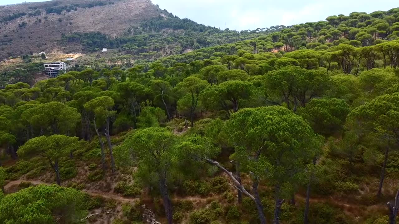 "The only place where success comes before work is in the dictionary."