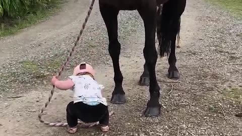 Adorable Little Girl Leads Patient Horse!