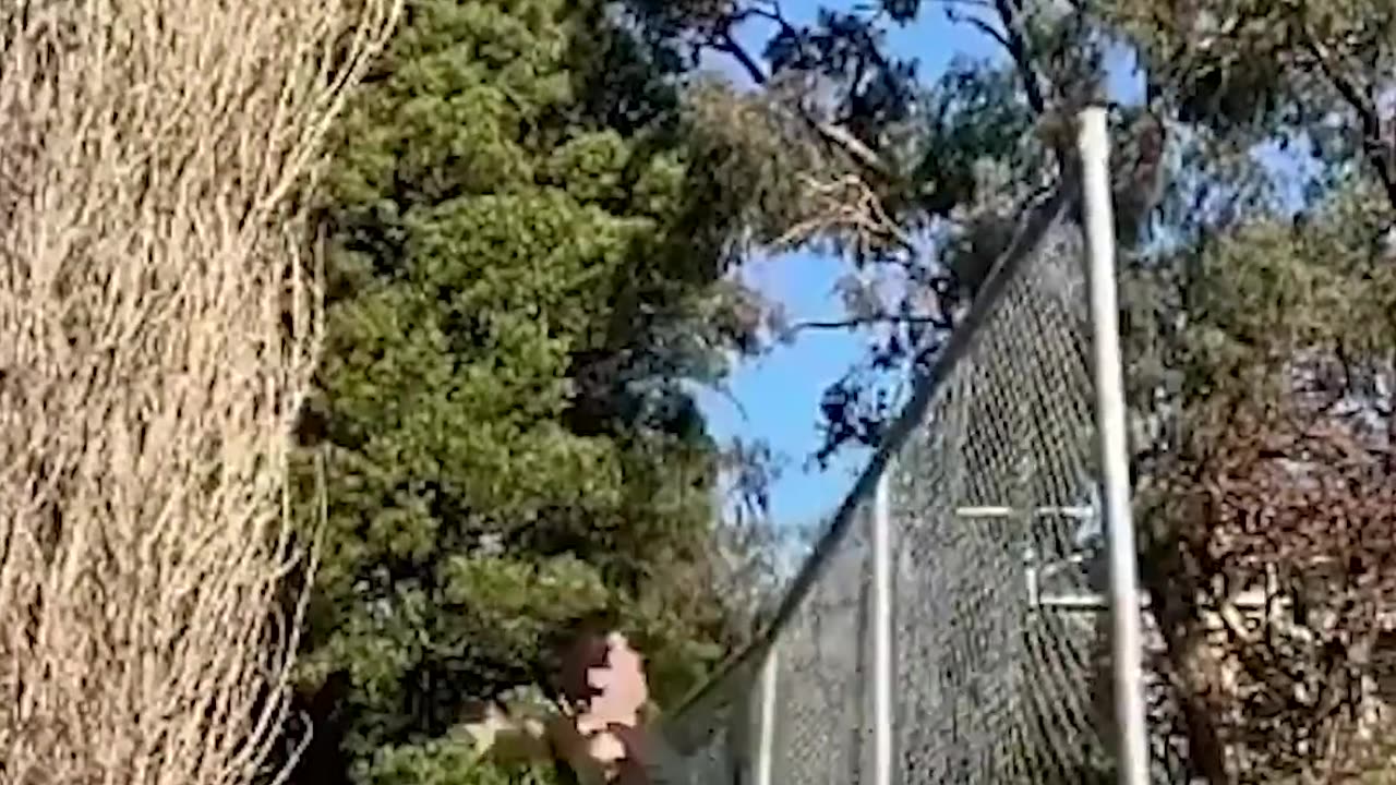 Parkour with Emojis. Pt 15