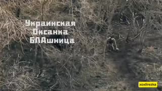 🏹🔥 Ukraine Russia War | Russian FPV Drone Destroys Ukrainian Operator's Position | RCF
