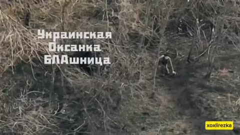 🏹🔥 Ukraine Russia War | Russian FPV Drone Destroys Ukrainian Operator's Position | RCF