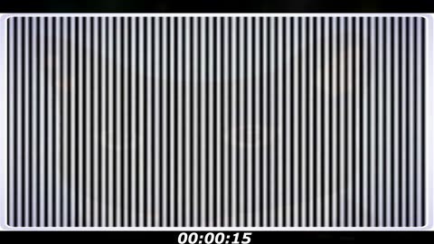 Optical illusion puzzle: Which animal hides at this photo? Sometimes distance is good...