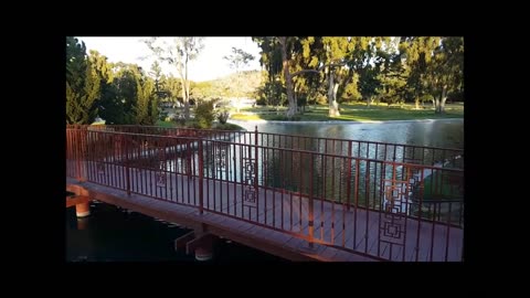 Episode 7: Bank And Pokemon Go (October 23, 2016)