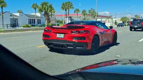 ROCK LOBSTER 🦂🦞 JAX BEACH 🌴🥥 10/12/25