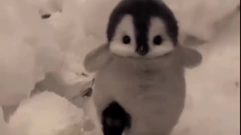 Me coming to disturb you again