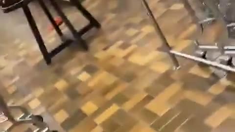 Meanwhile, at an LCBO somewhere in Canada...