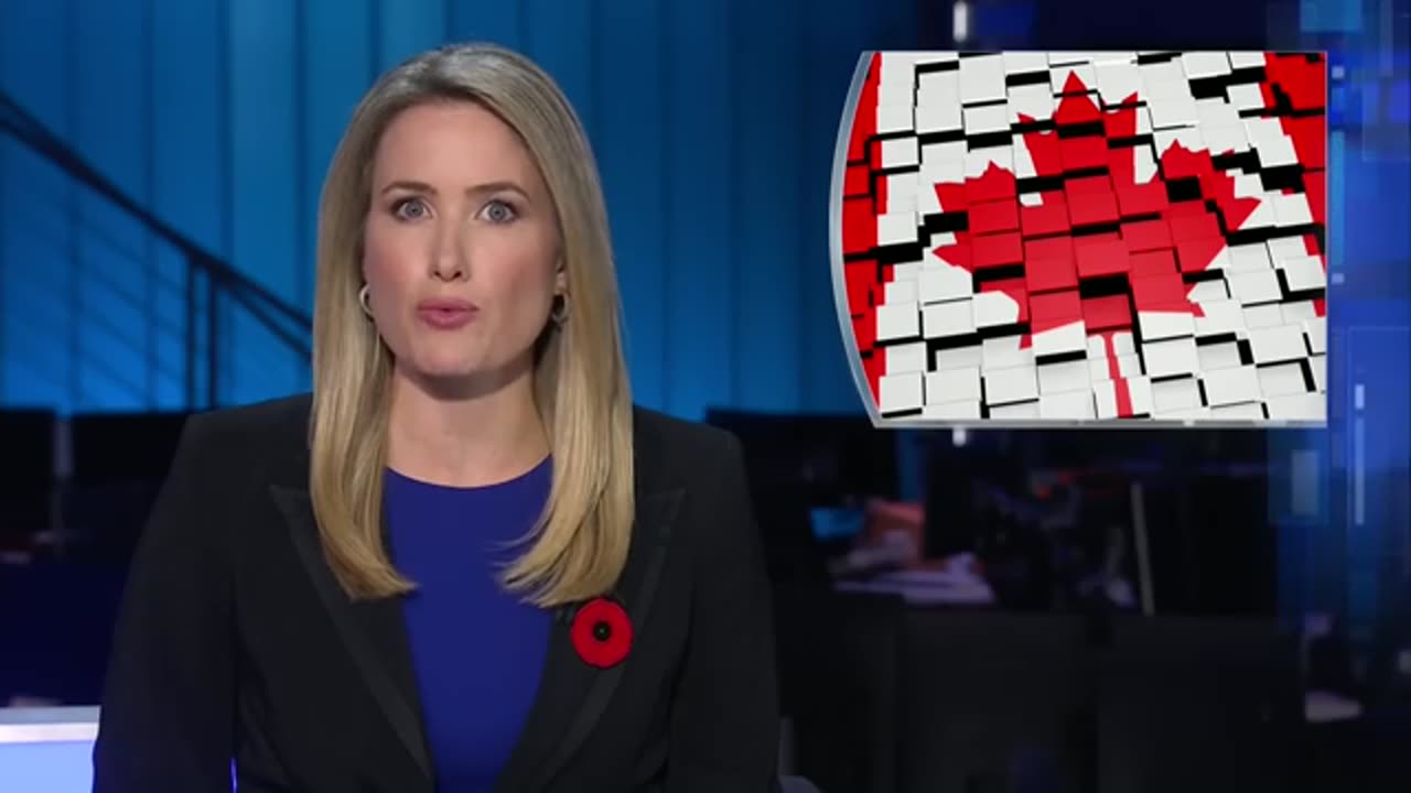 Blue Jays lose World Series after historic run