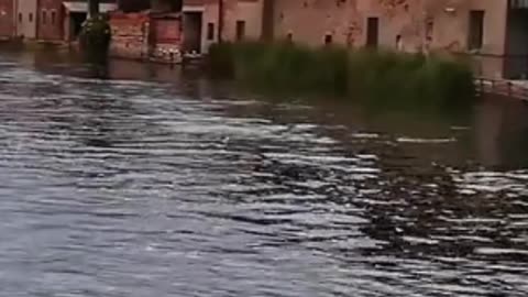 😊 49 “DIOS YA TIENE TU CAMINO TRAZADO” Jeremías 29:11 😊