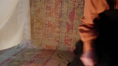 😂🔮 The Wolf King vs. Fortune Teller Showdown! | FunFM