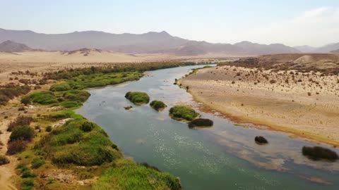 the various nature in Africa