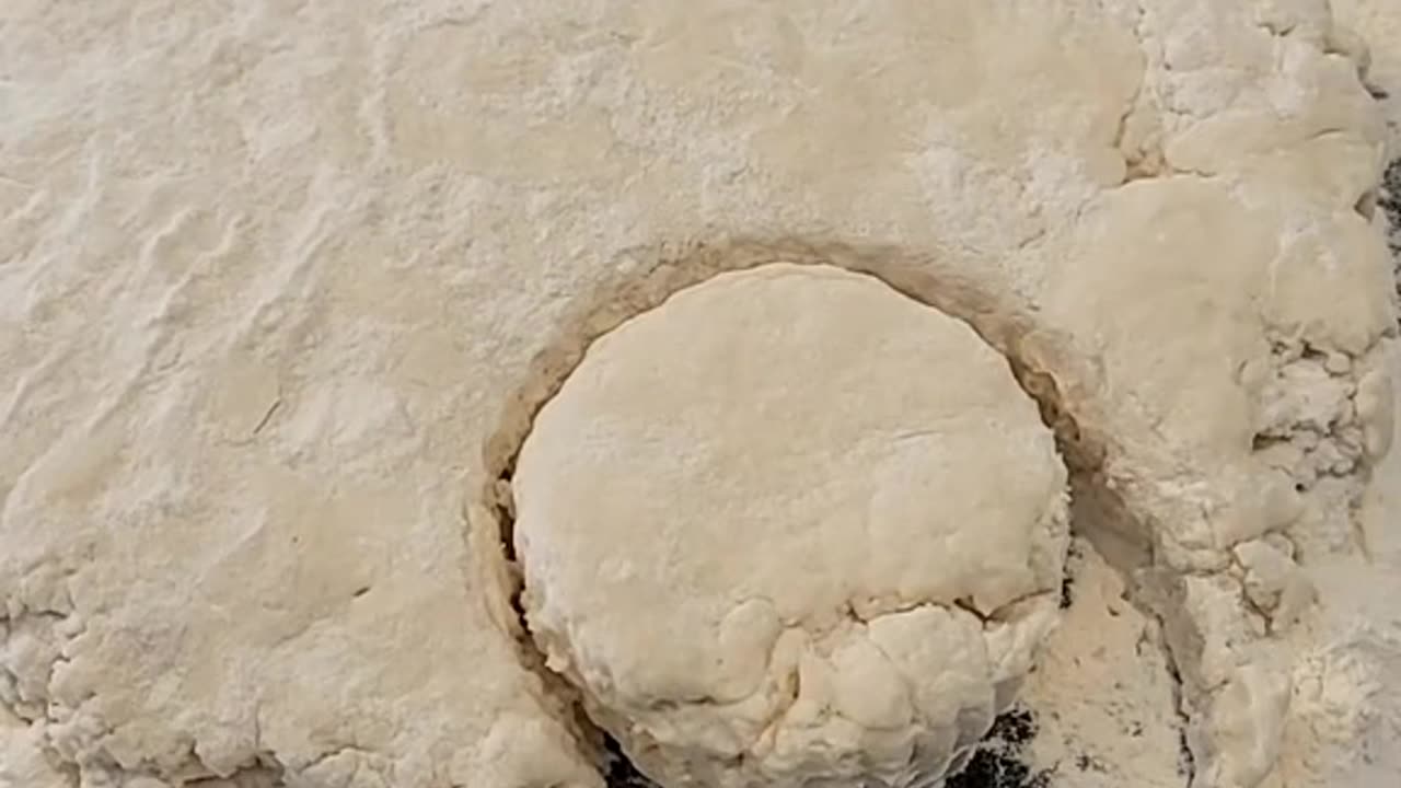 Southern Biscuits