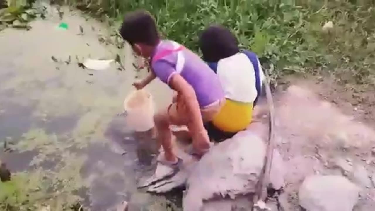 Lairabagi pankheida cover video