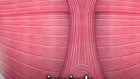 HIFEM Kegel Chair for Men & Women