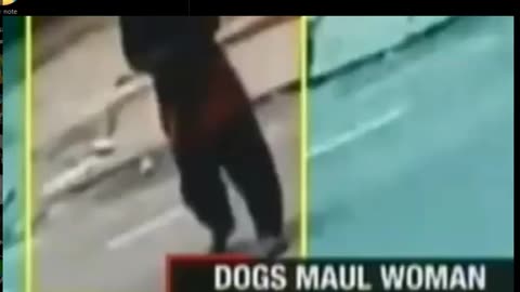 Joke about a hungry DOG