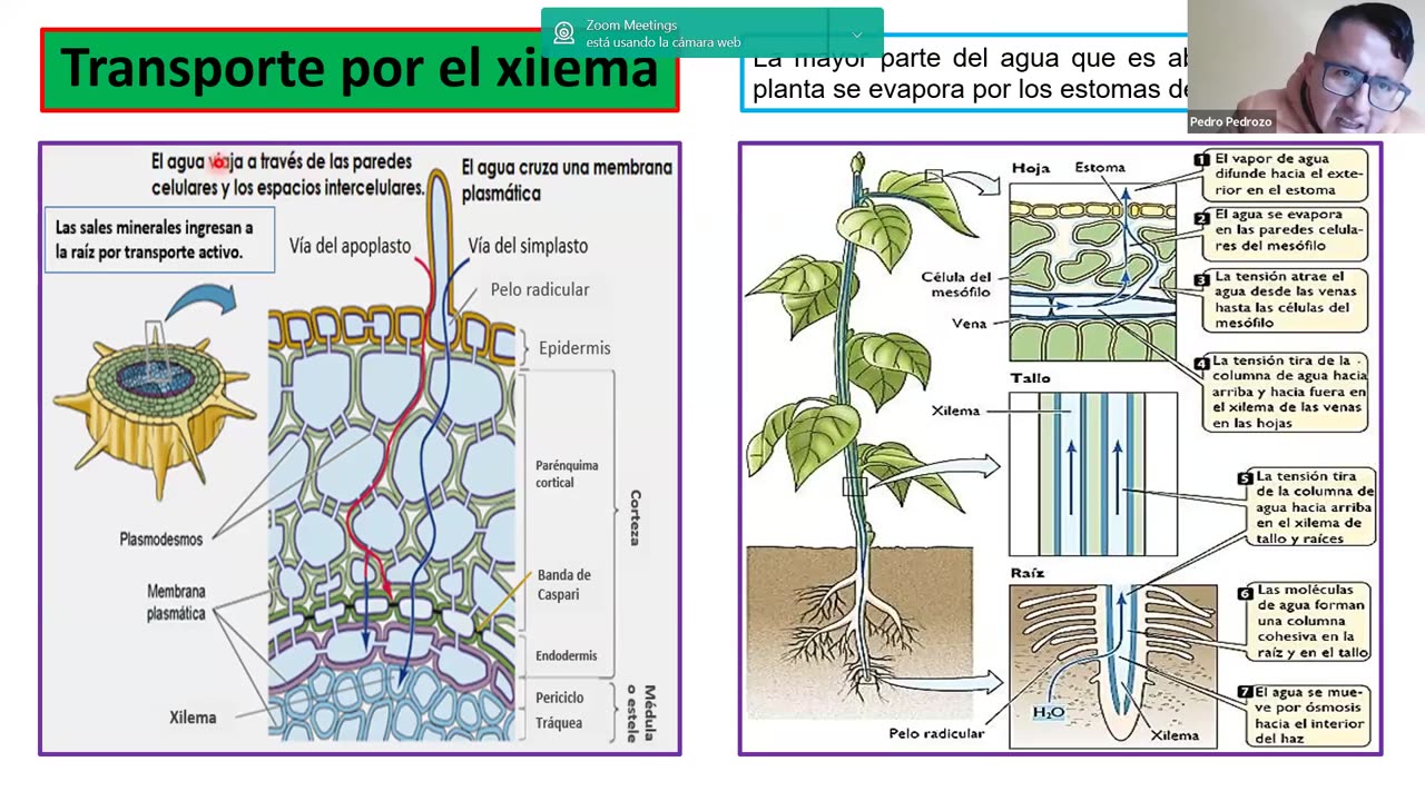 ADC SEMIANUAL 2023 | Semana 11 | Biología