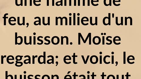 "La Révélation de Dieu dans le Buisson Ardent" Exode 3:2#shorts #youtube #jesus #ytshorts #shortvide