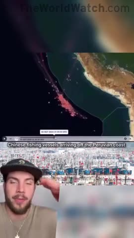 China has no sustainability laws.