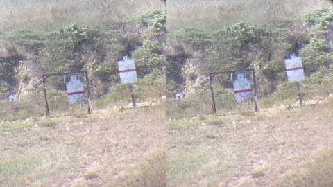 Hunting Cartridge Selection • 224 Valkyrie -vs- 22 CM AI • 308 Win -vs- 300 WSM