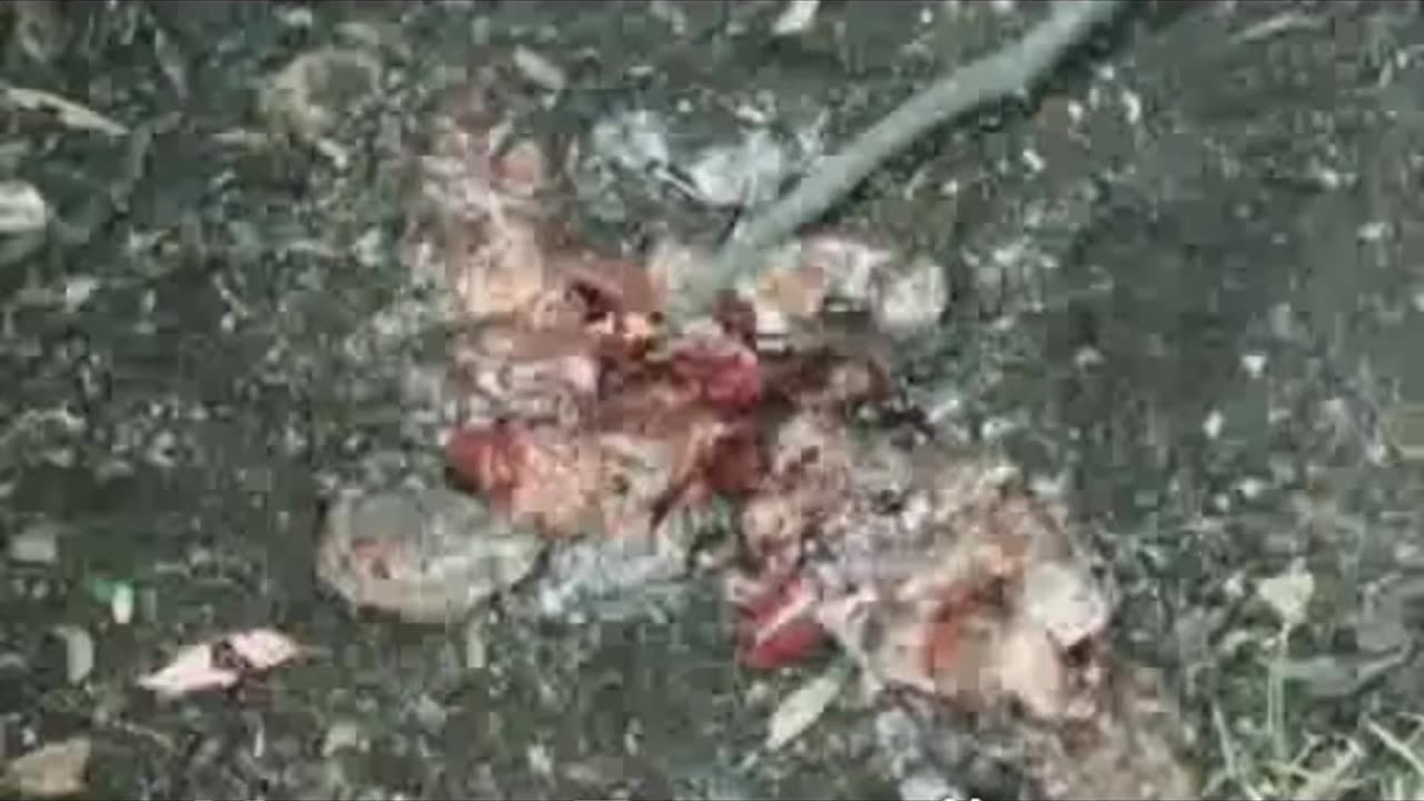 🛸🤯 The Most Baffling UFO Sighting Ever! | TheTruthAbove