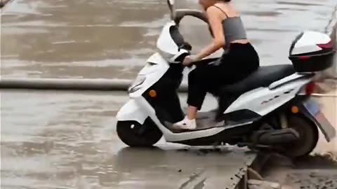 funny videos