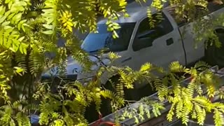 Harrowing situation in La Villita (West Chicago) where multiple residents are refusing to comply