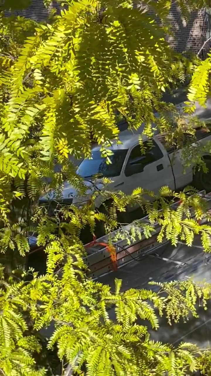 Harrowing situation in La Villita (West Chicago) where multiple residents are refusing to comply