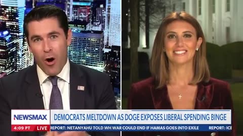 Alina Habba reacts to 'disturbing' liberal response on Trump eliminating government waste