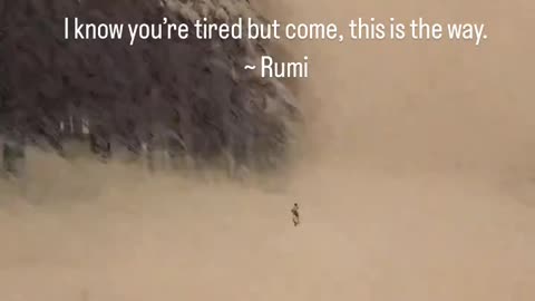 Rumi