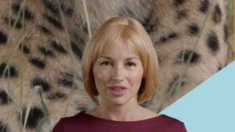 Are You Game For The Animal Quiz?