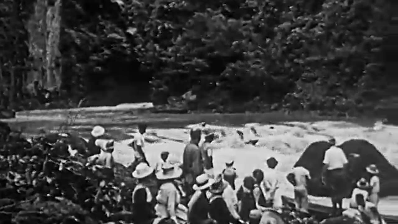 Yosemite’s Timeless Wonders: Silent Black-and-White Journey of the 1920s!